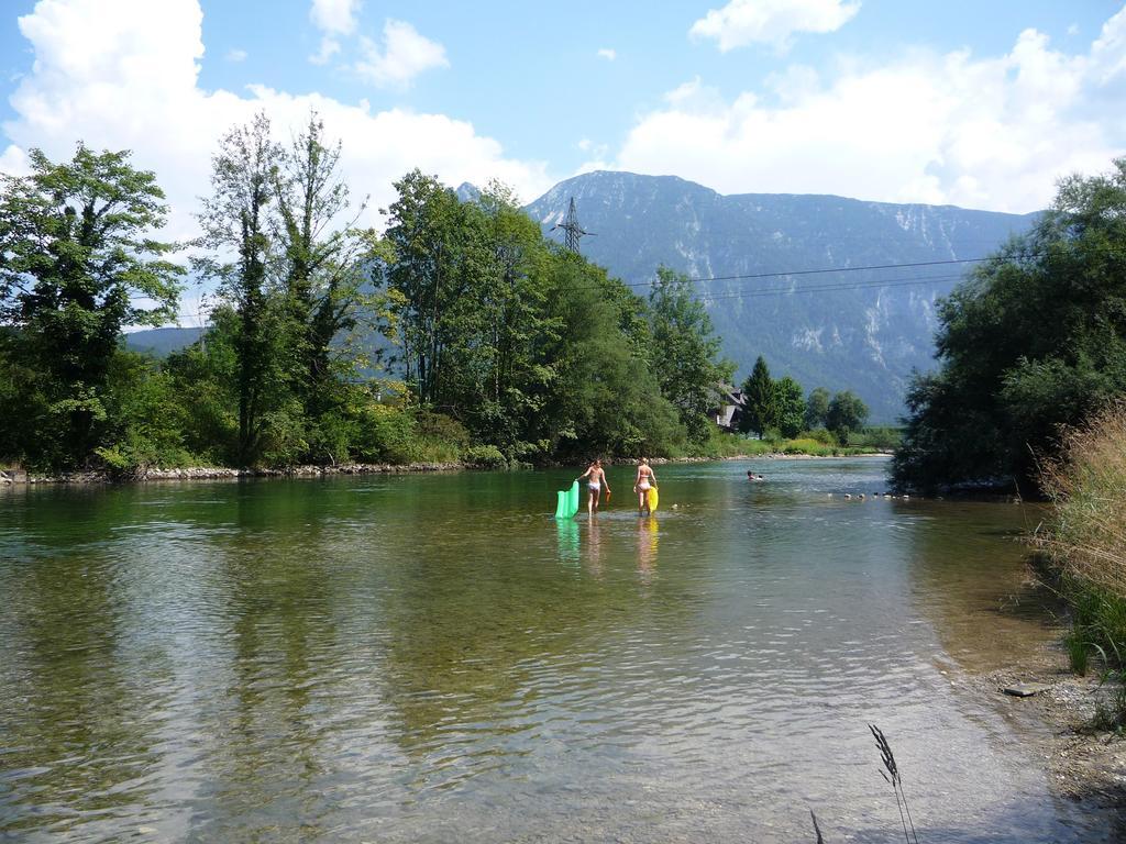 Landhaus Hallstatt Feeling - Apartment - Self Check-In Bad Goisern Buitenkant foto